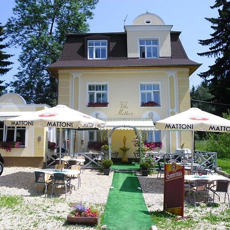Villa Meteor Marianske Lazne Bagian luar foto